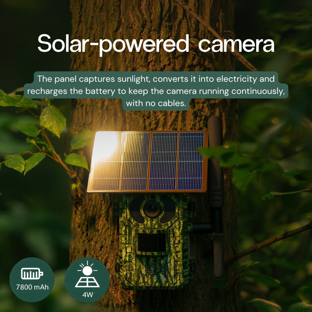 Solar-powered 4G trail camera