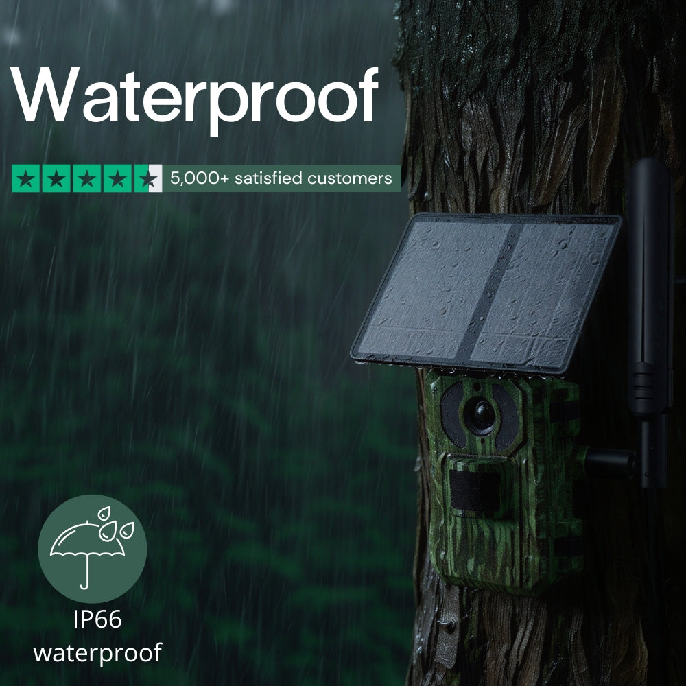 Solar-Powered 4G Trail Camera