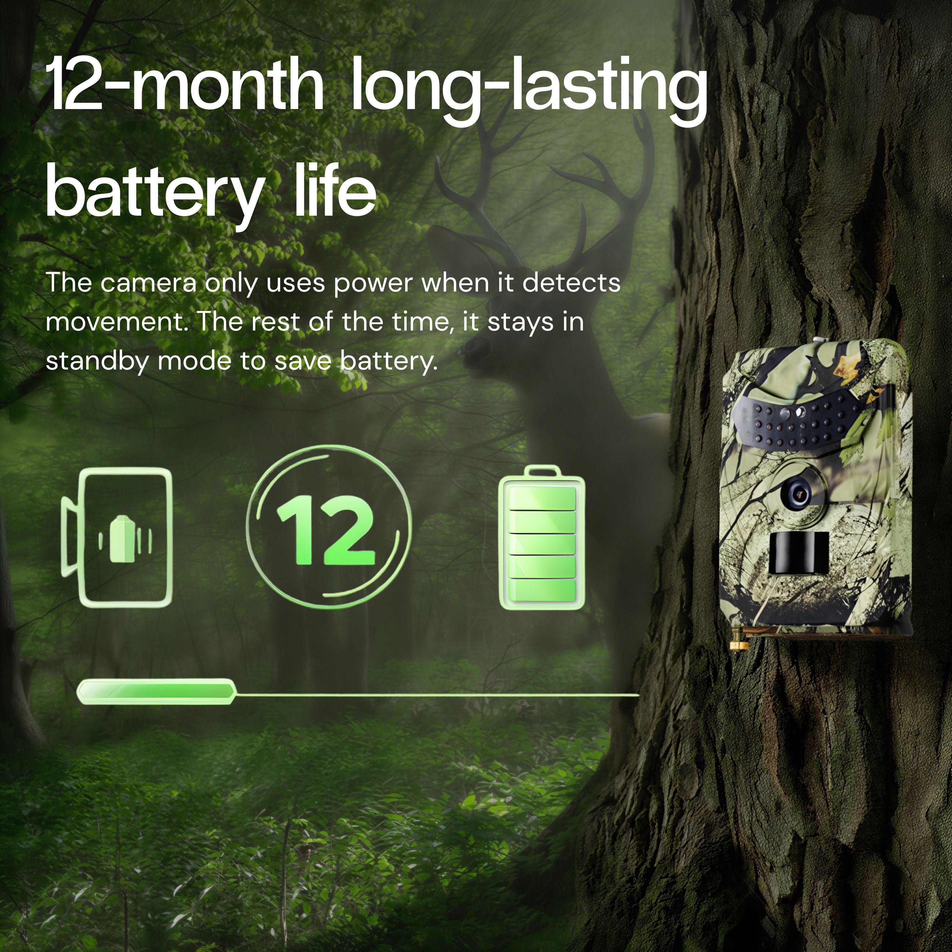 Full HD Trail Camera