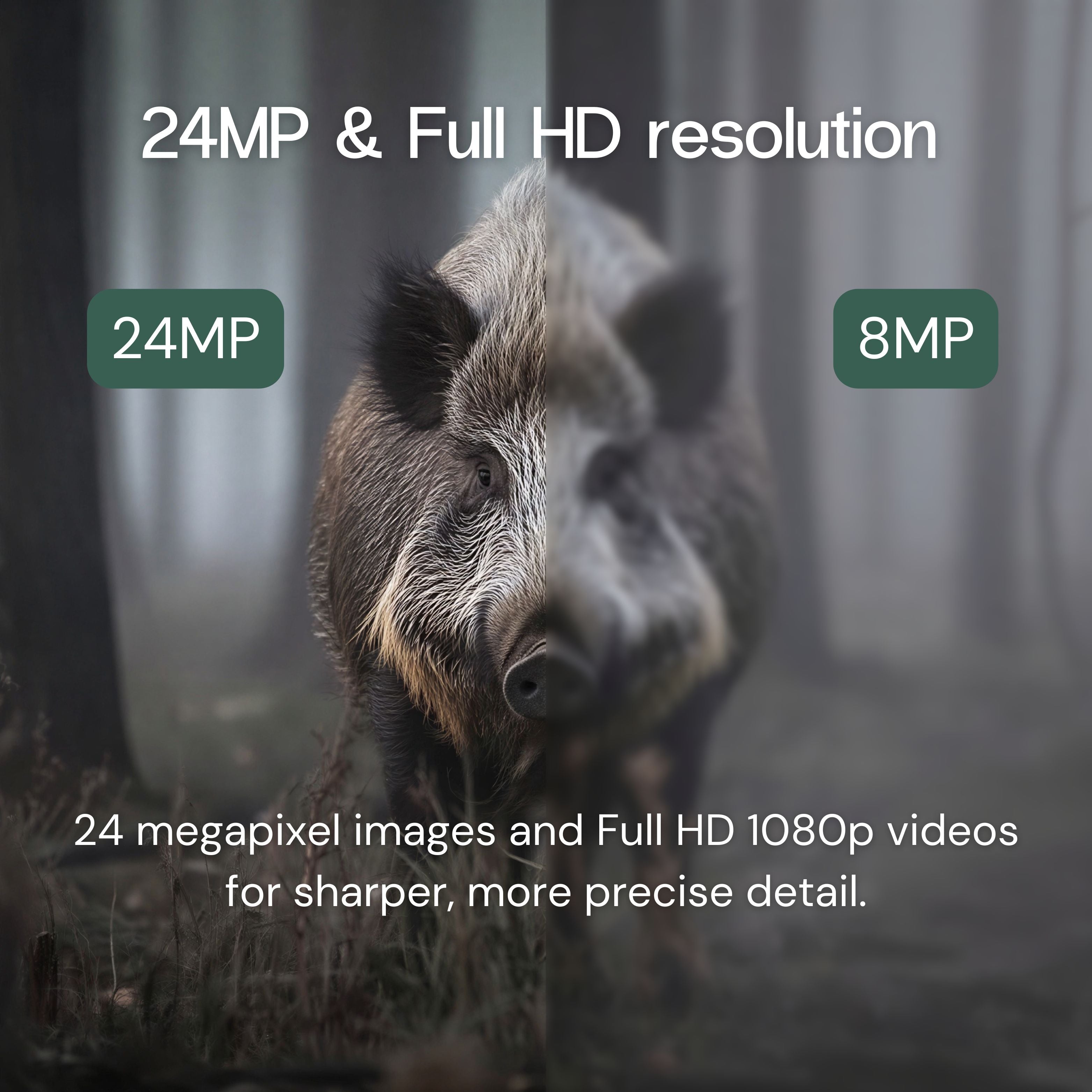Full HD Trail Camera with Screen