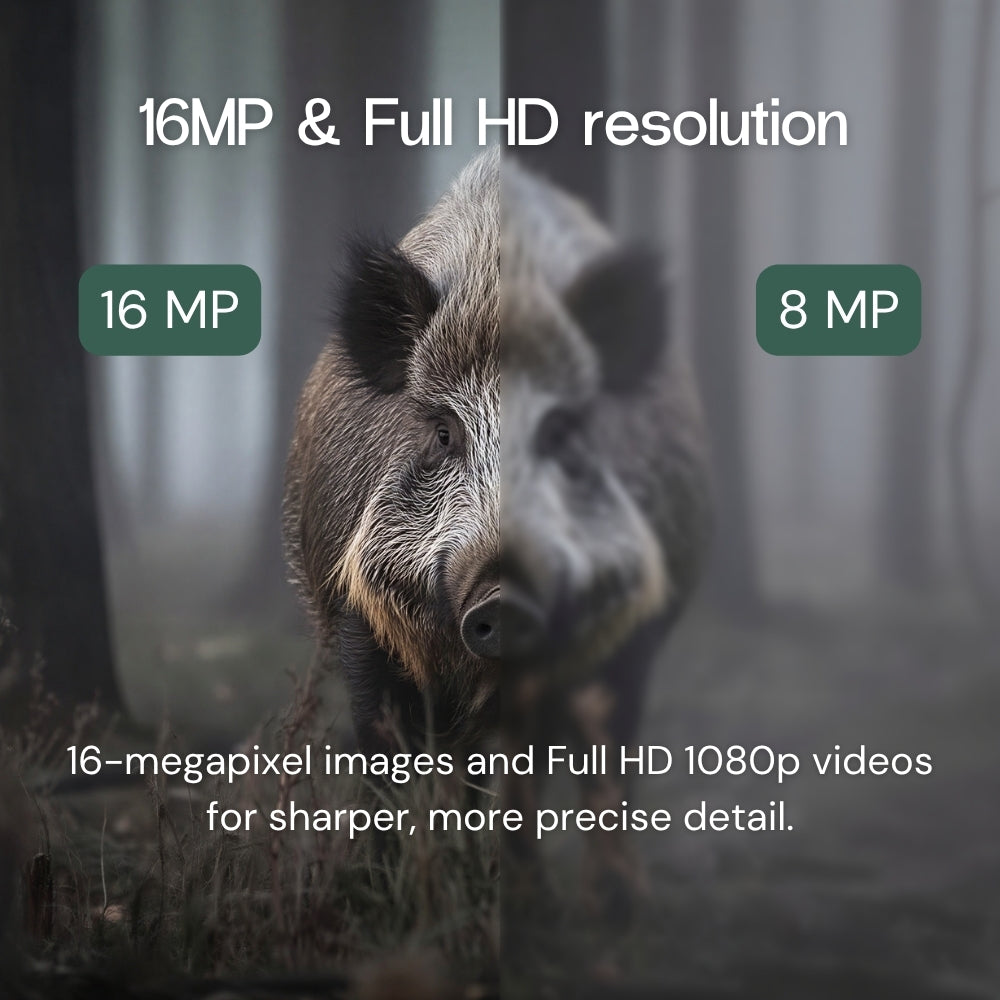 Full HD trail camera with screen