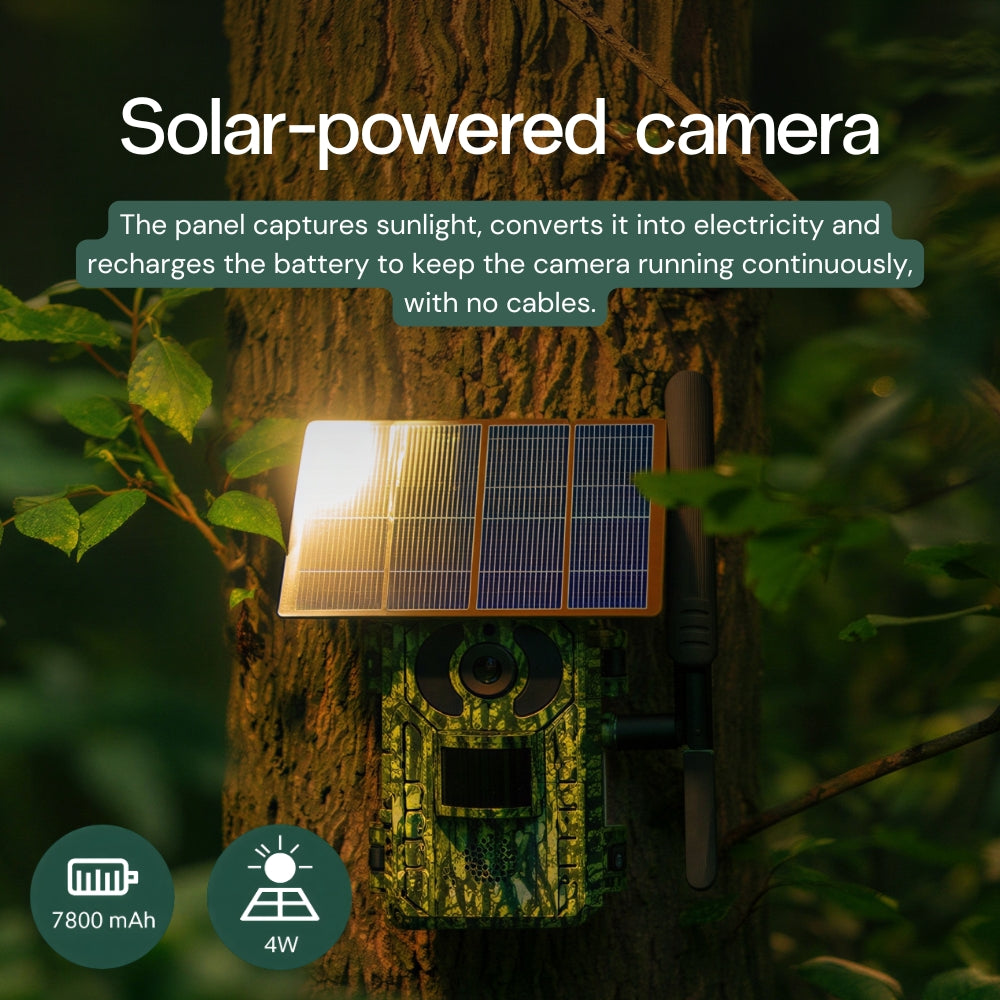 Solar-Powered 4G Trail Camera