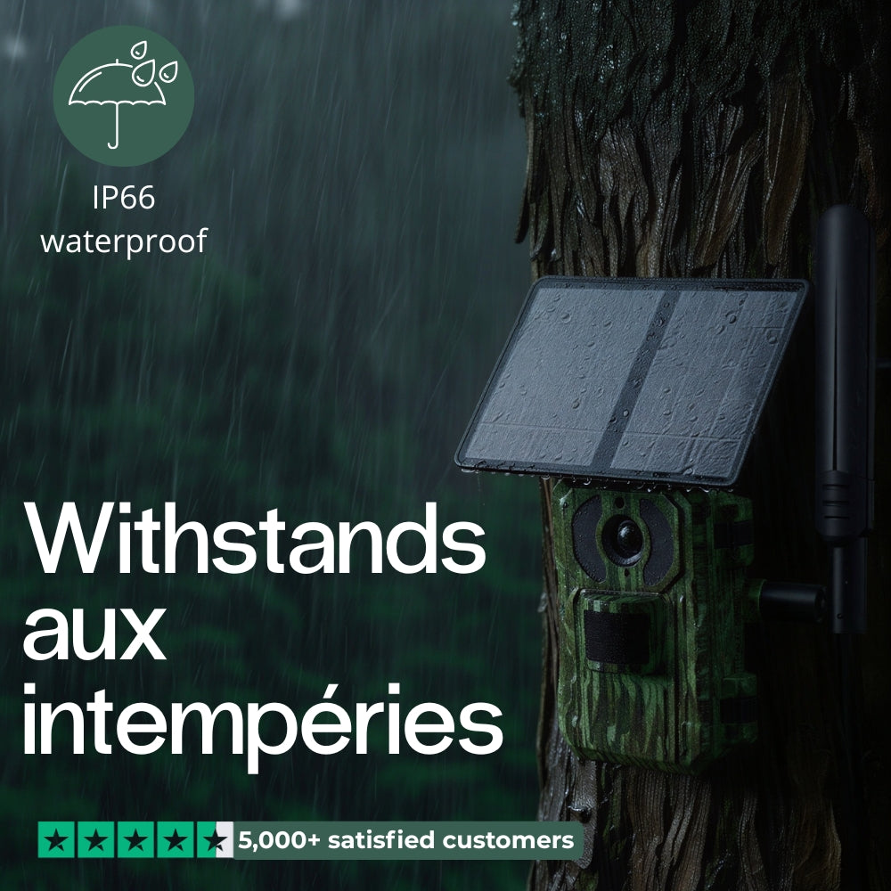 Solar-powered 4G trail camera