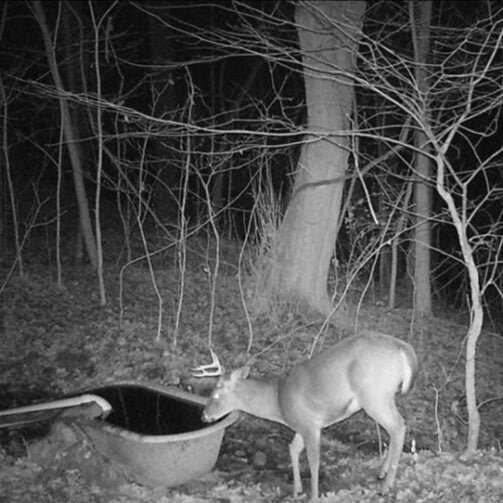 High-definition night vision